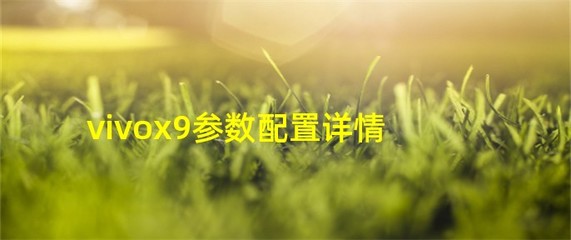 vivox9参数配置详情(vivox90参数配置详情)