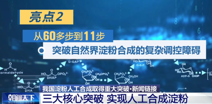 今日新闻头条最新消息(今日新闻头条最新消息简短)