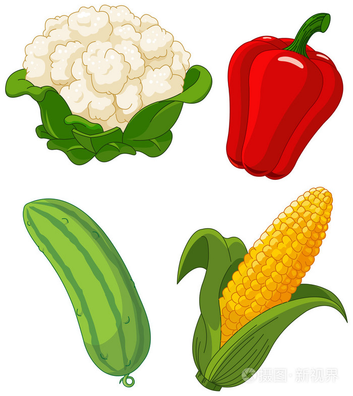 vegetables(vegetables蔬菜可数吗)