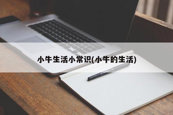 小牛生活小常识(小牛的生活)