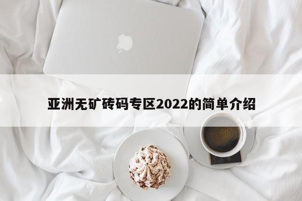 亚洲无矿砖码专区2022的简单介绍