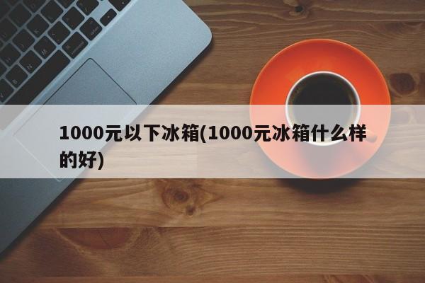 1000元以下冰箱(1000元冰箱什么样的好)