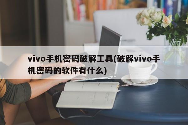 vivo手机密码破解工具(破解vivo手机密码的软件有什么)