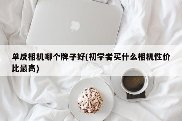 单反相机哪个牌子好(初学者买什么相机性价比最高)