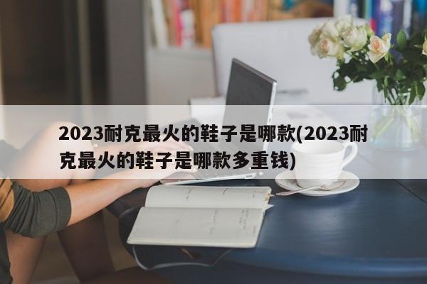 2023耐克最火的鞋子是哪款(2023耐克最火的鞋子是哪款多重钱)