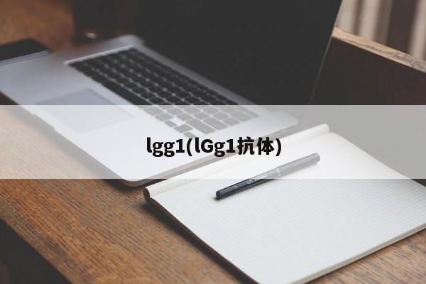 lgg1(lGg1抗体)