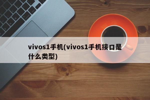 vivos1手机(vivos1手机接口是什么类型)