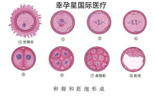 英美相继批准，基因编辑疗法“一劳永逸”？