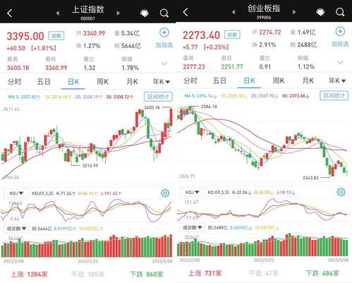 国新再抢筹？央企科技类指数ETF成交额创历史新高 最新持股名单曝光