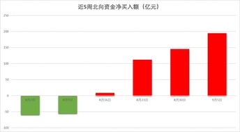 中际旭创获北向资金买入1.31亿元，居增持第6位