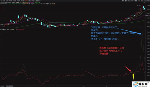 百奥赛图-B盘中异动 大幅上涨5.06%