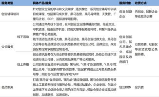 创业黑马(300688.SZ)终止2023年度定增A股事项