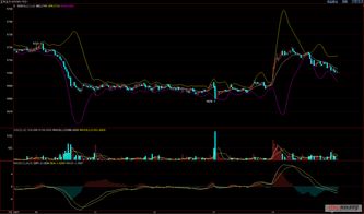 金石保险盘中异动 早盘大幅跳水5.45%