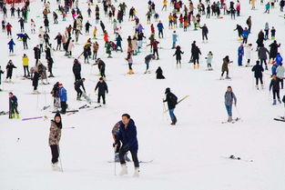 假期临近旅游市场持续升温，“滑雪+温泉”点燃消费热情