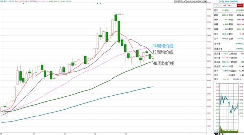 仁德资源(08125)：1.57亿股供股股份将获配发 净筹约3500万港元