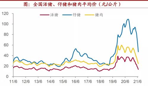 绝味食品赴港上市暂缓：毛利率持续下滑股价跌超五成，投资者质疑不少