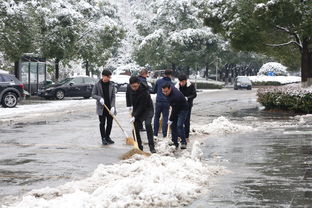 大雪中，他们走出家门义务扫雪除冰