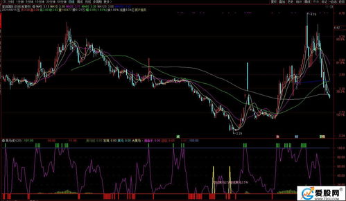 别样肉客盘中异动 早盘大幅拉升5.08%