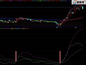 【图解】2.6亿资金追高引力传媒，本周游资相中这些股票