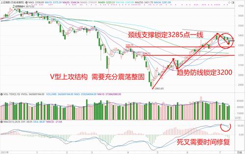 国投证券：整车企业盈利能力有望持续上行