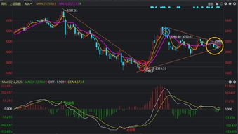 慈文传媒(002343.SZ)大股东马中骏减持期满 累计减持326.88万股