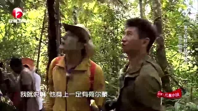 震龙短剧的独特魅力与深远影响，短剧在线观看，震龙短剧一口气看完