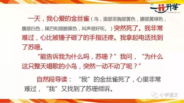 会呼吸的痛——一部触动心灵的短剧解析，短剧在线观看，会呼吸的痛短剧大结局